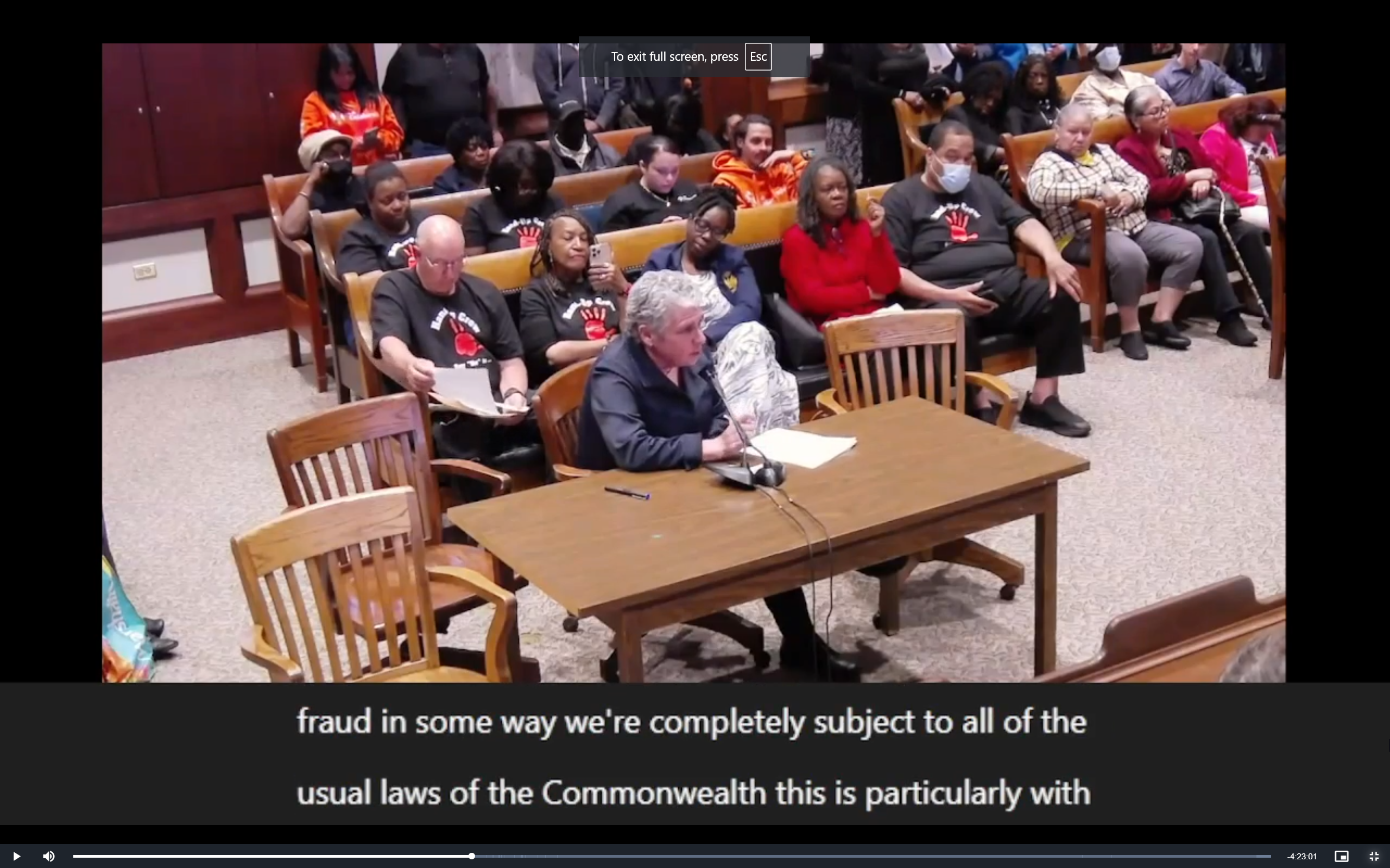 A screen capture from a public hearing in front of the Massachsuetts Legislature, showing Elyse Cherry, an older woman with gray hair wearing a black dress shirt, sitting at a wooden table speaking into a microphone. The benches behind her are filled with people waiting to testify.