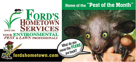 Ford's Hometown Services Fleas