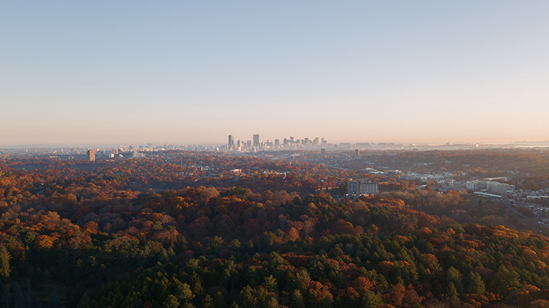 A drone image captures autumn foliage with Boston in the distance.