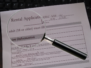 Rental Application under Magnifying Glass