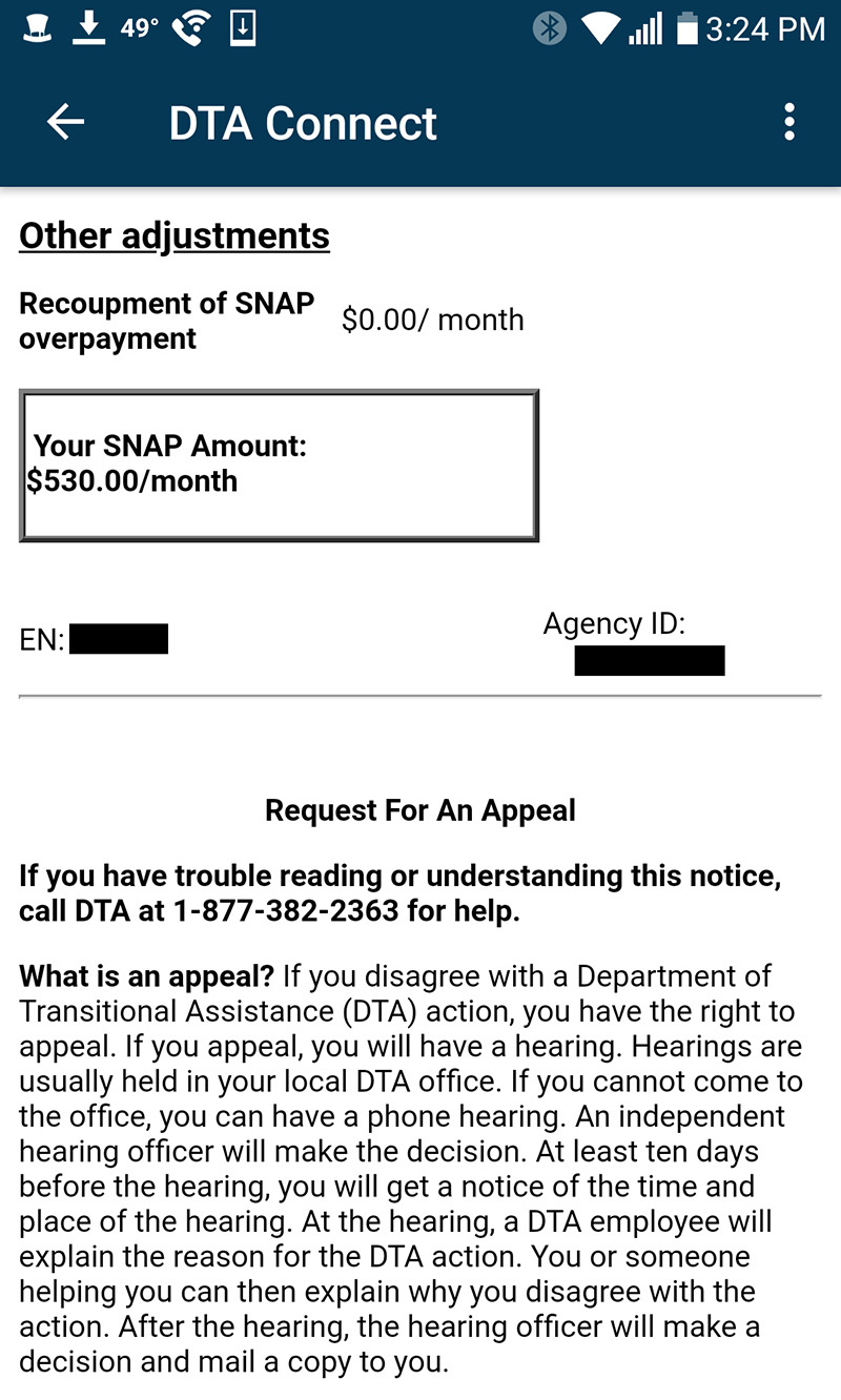 A screen shot of a mobile view of a benefits statement for SNAP benefits, with personal information removed.