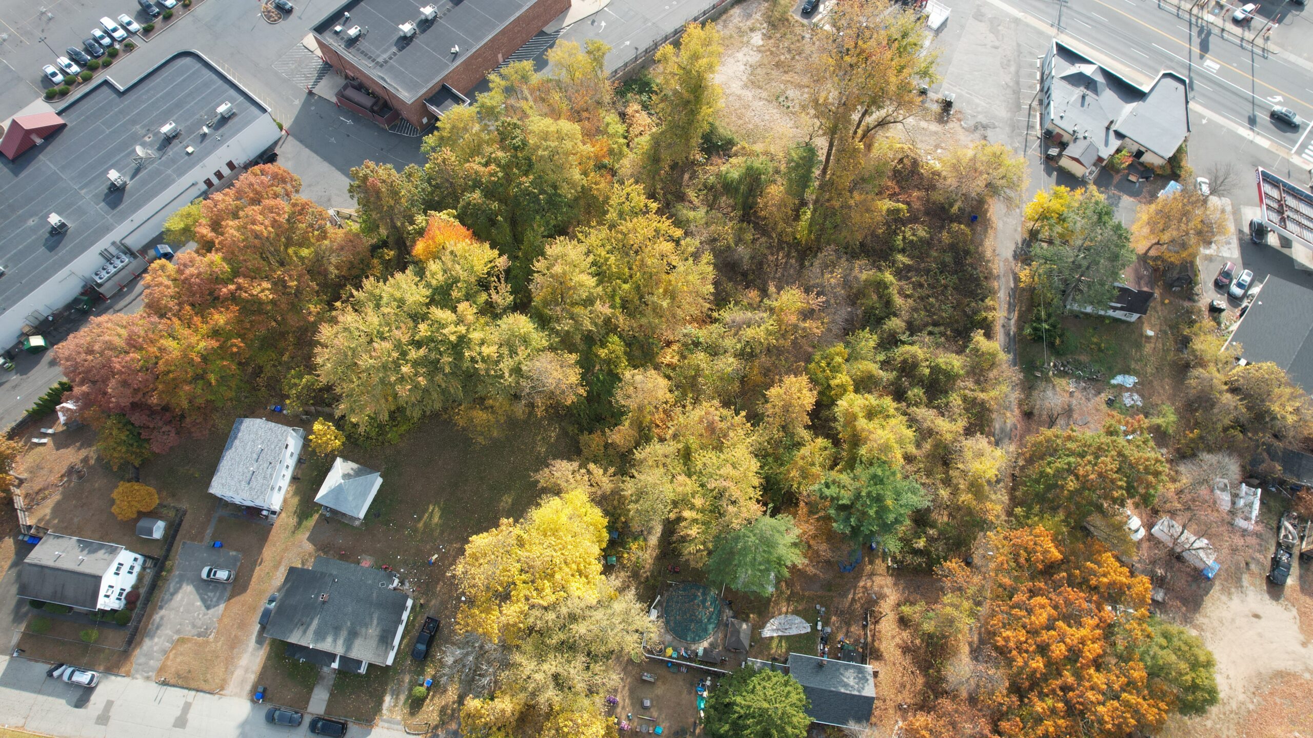 an aerial overview photo of a triangular parcel of land in Springfield, Mass., overgrown with trees and brush, surrounded by some houses and some commercial businesses, residential streets and a busy road flanking one side