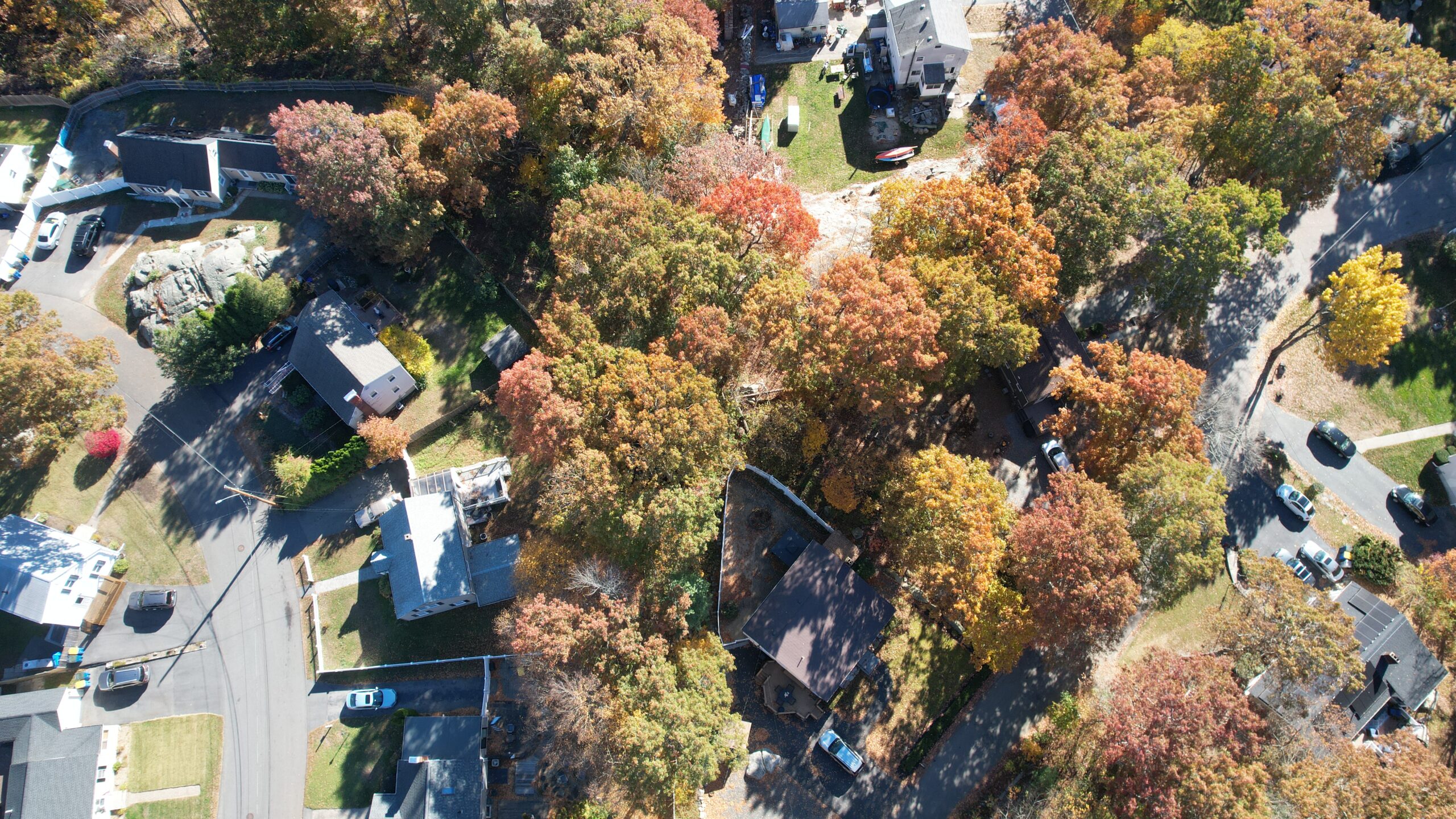 an aerial overview photo of a small parcel of wooded land in Randolph, Mass., with trees, bushes and brush, surrounded by houses, streets and some cars parked on the street. 