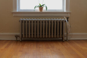 photo of a residence interior with an old steel radiator affixed to the wall underneath a window, with a blooming plant on the sill, and a hardwood floor.