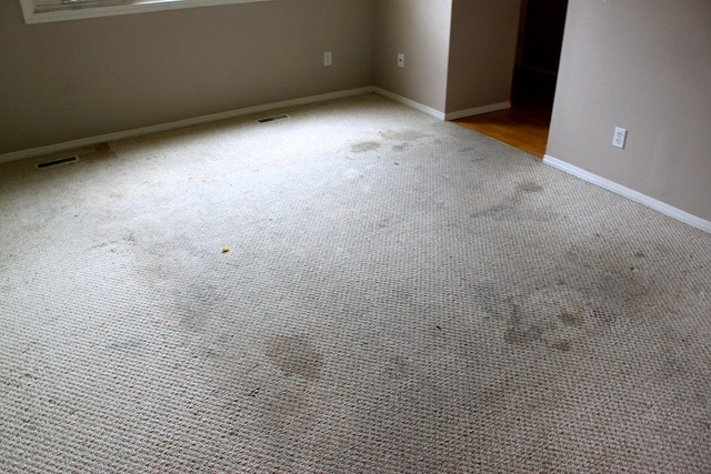 an empty room with beige wall-to-wall carpeting, that has multiple stains in various places.