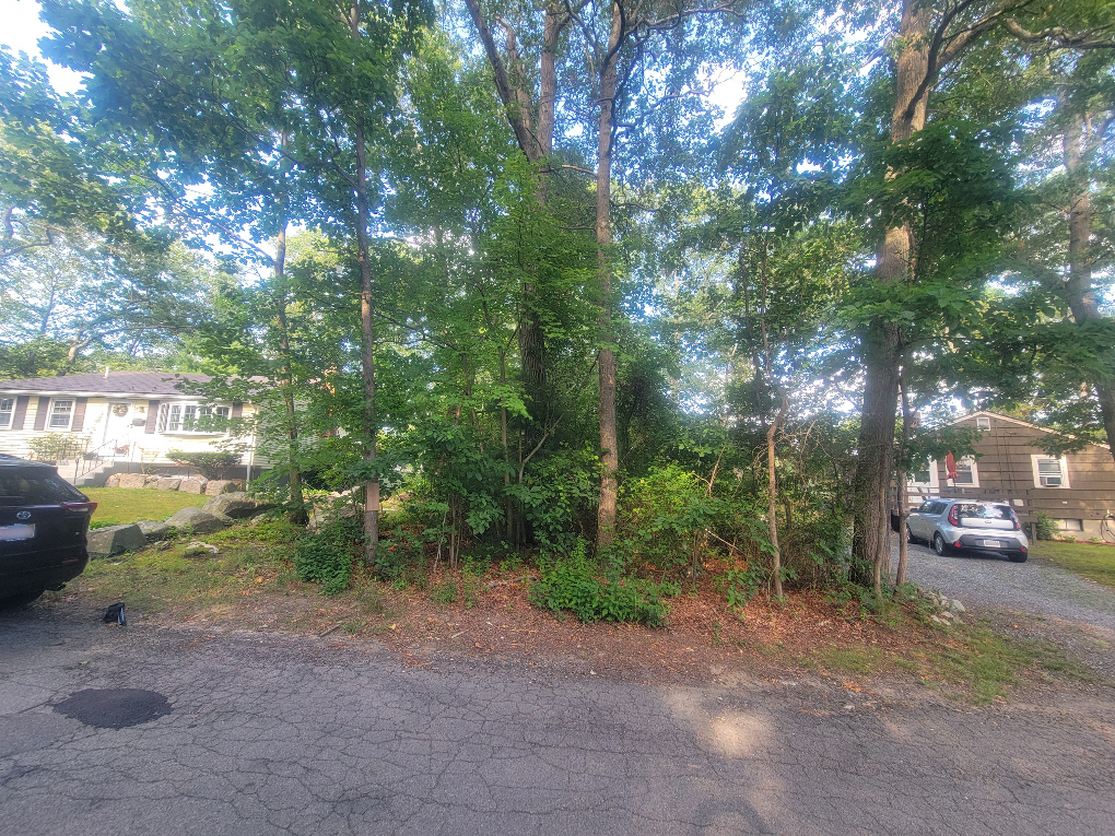 A small lot sits between two houses, with cars parked to either side. The lot is full of undergrowth and trees.