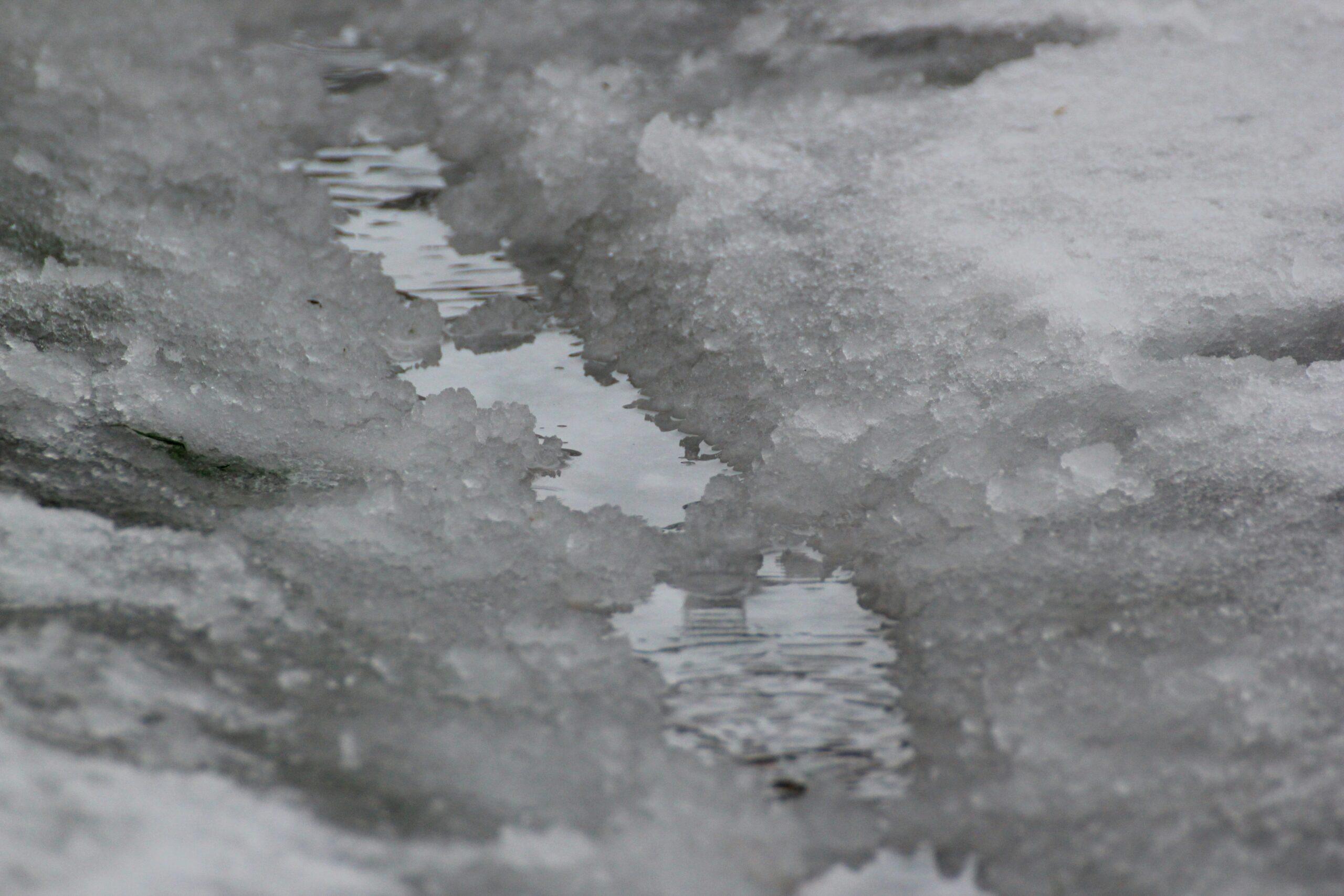 A close-up of a snowy, slushy patch of ground with water in the center of the slush.