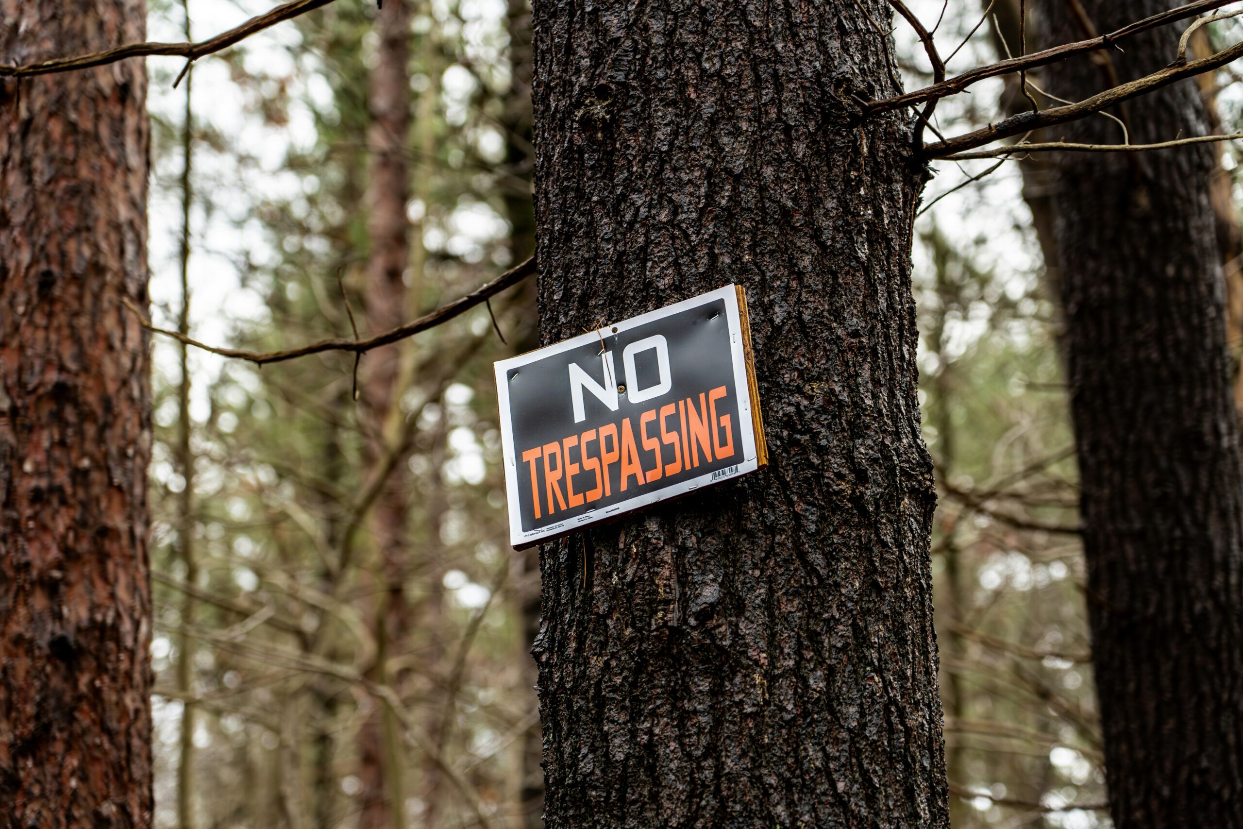 [Alt: A sign with “No Trespassing” in bold letters on a black background is nailed to a tree in a wooded lot.]