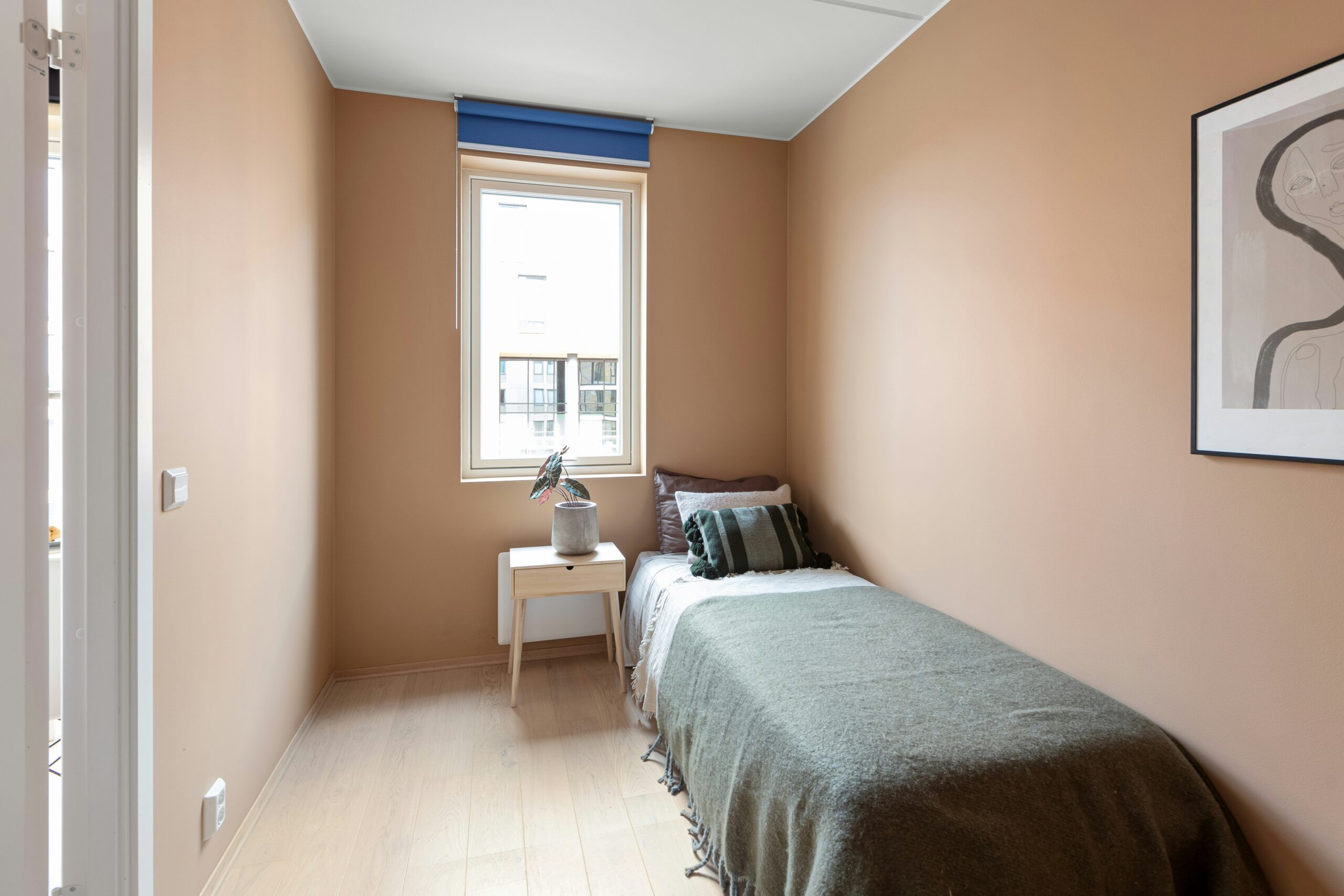 A single bed in a narrow room that is unfurnished besides the bed and a small bedside table with a house plant on it. There is an art print on the wall.