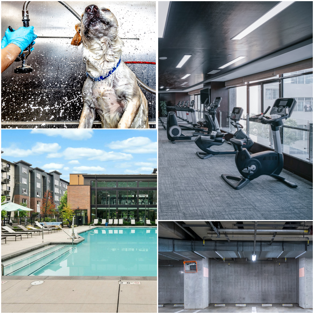A college of images. Clockwise from left: A yellow lab getting washed at a dog washing station, a row of empty exercise bikes in front of a large window, a parking spot in an enclosed parking garage, and an outdoor in-ground pool surrounded by apartments.