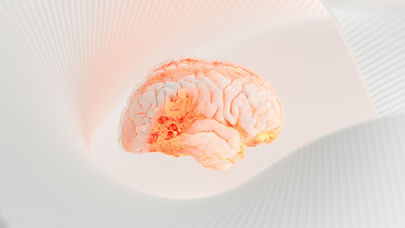 A computer-generated image of a human brain done in shades of pink, with a spot near the base lighting up as if its neurons have been activated, floats against an abstract background in shades of pink and light gray.