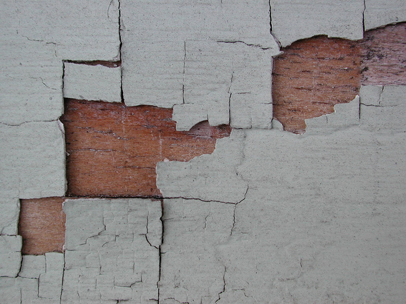 This is a close-up photograph of gray lead paint peeling off a wall in large chunks, exposing the brown surface underneath.