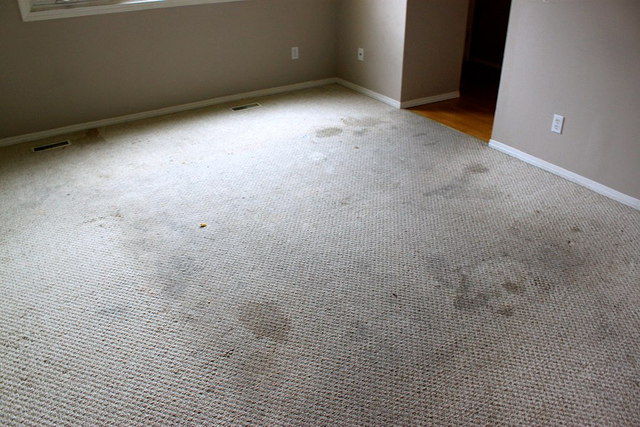 carpet stained