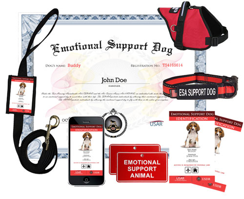 usar emotional support dog