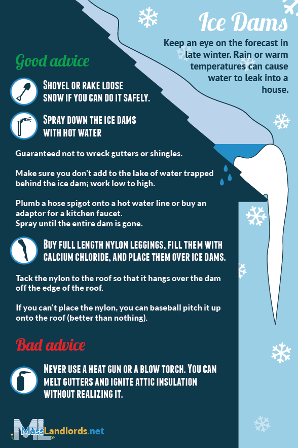 How to Remove Ice Dams (Infographic)