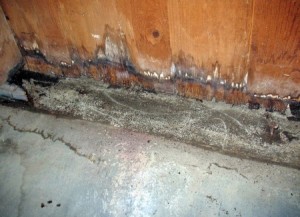 Basement Moisture Copyright: <a href='http://www.123rf.com/profile_searmstrong'> / 123RF Stock Photo</a>